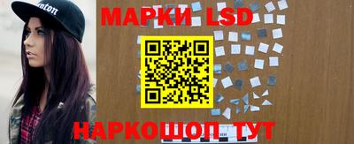 apvp Краснодар