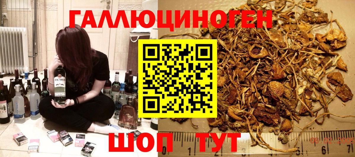 Псилоцибиновые грибы мицелий  Вход с VPN  Псилоцибиновые грибы GOLDEN TEACHER  Йошкар-Ола 